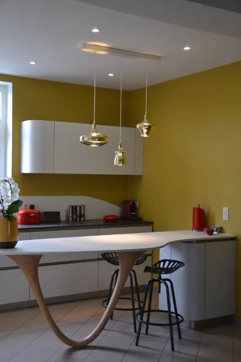 Cuisine blanche, mur ocre et pied bois, photo 23 sur 26